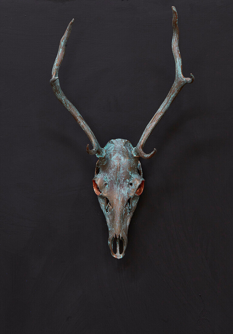 Painted skull and antlers Somerset, UK