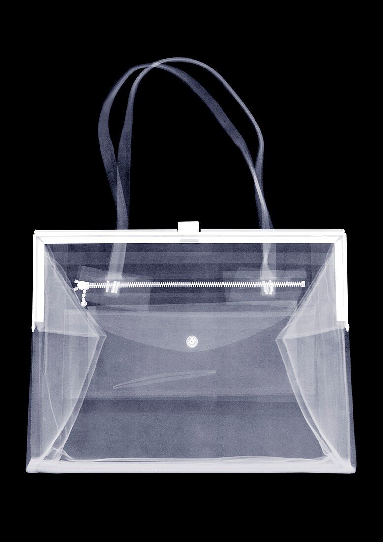 Metal clasp handbag, X-ray