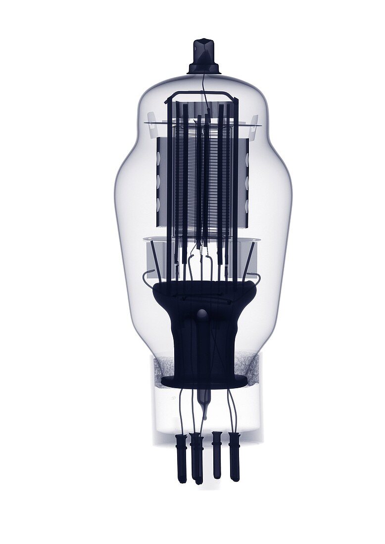 Light bulb on a white background, X-ray