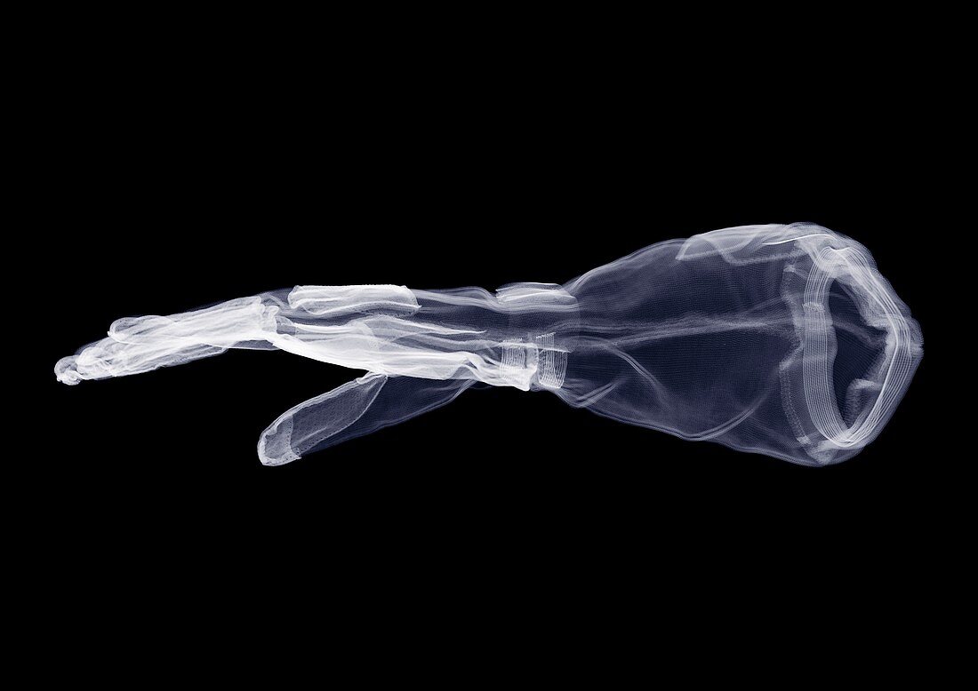 Gauntlet glove from side, X-ray