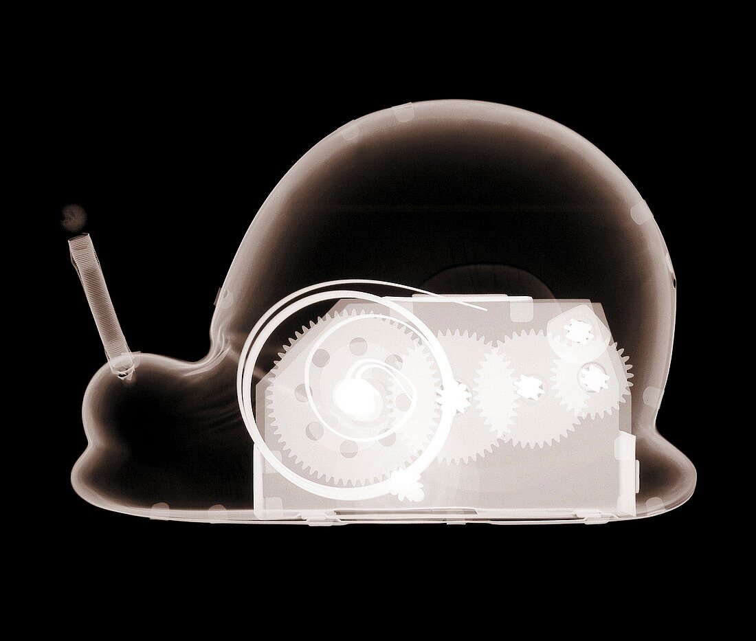 Toy mechanical snail, X-ray