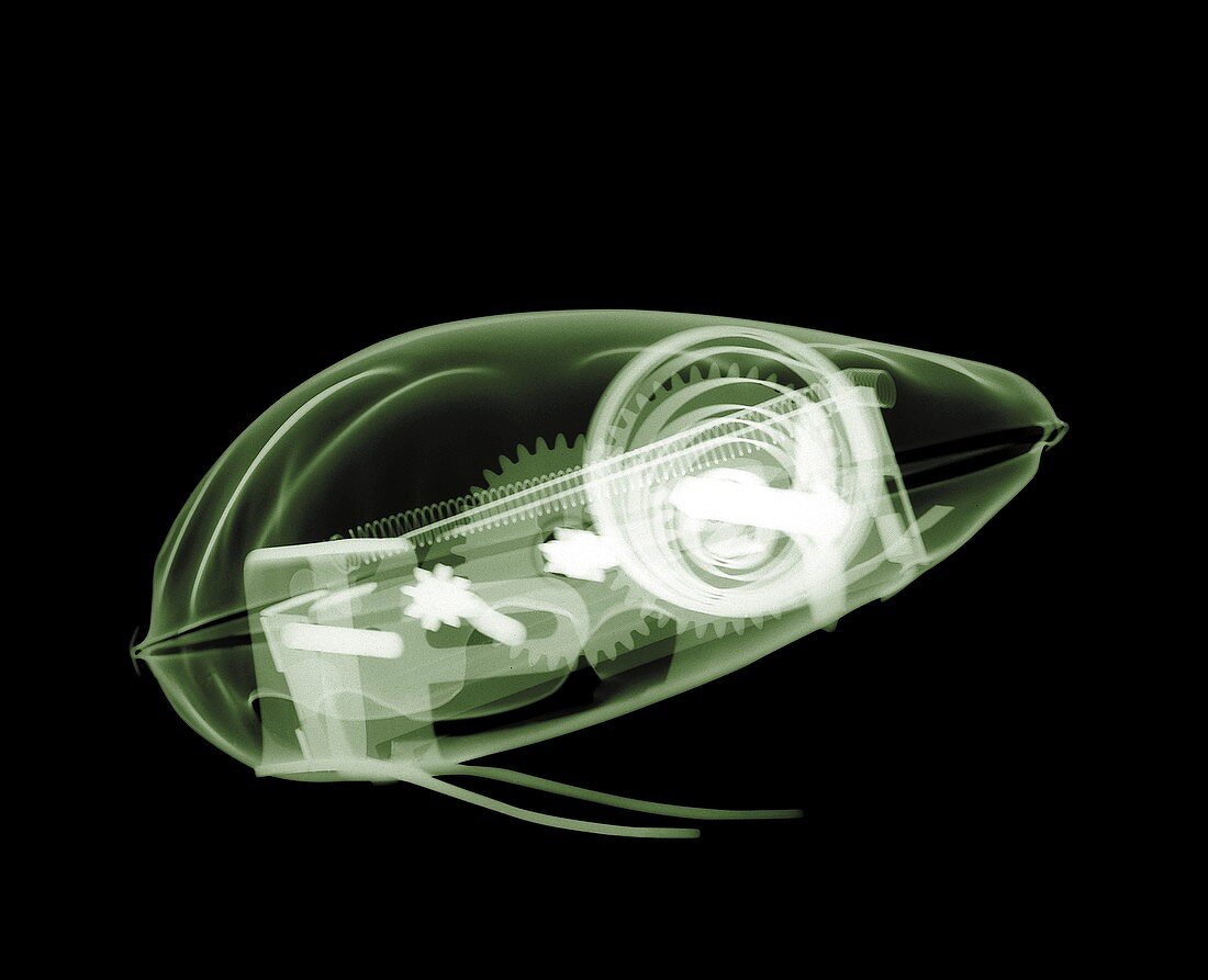 Toy mechanical frog, X-ray