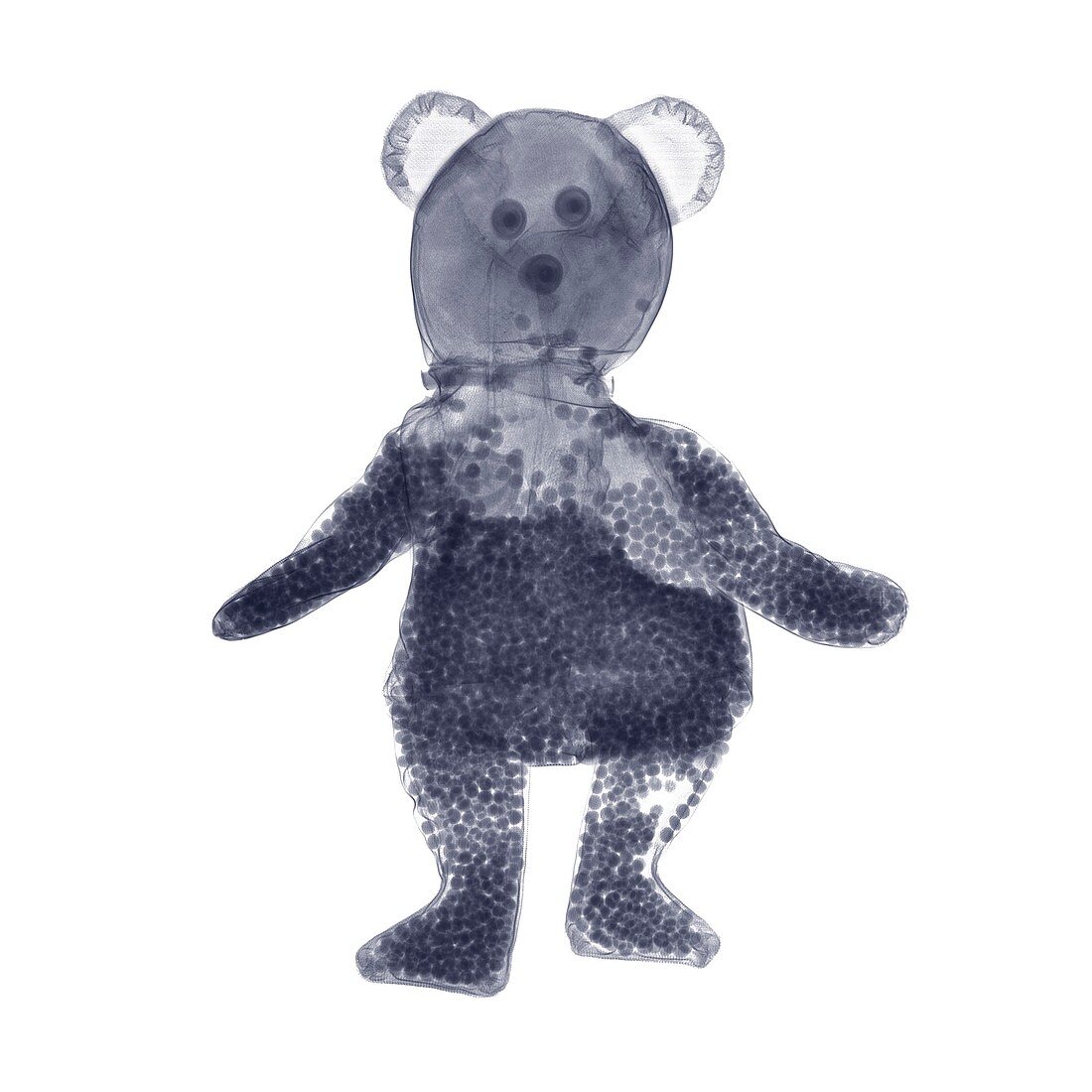 Beanie teddy bear, X-ray