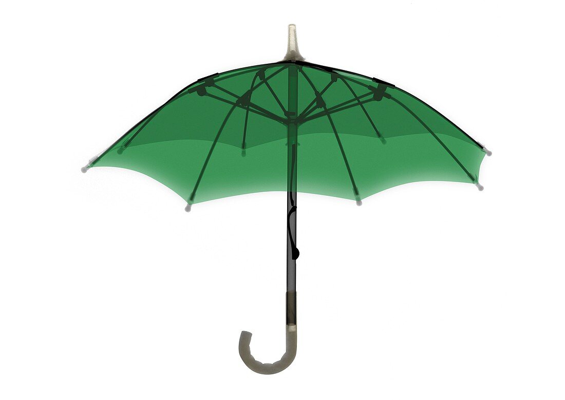 Open green umbrella, X-ray