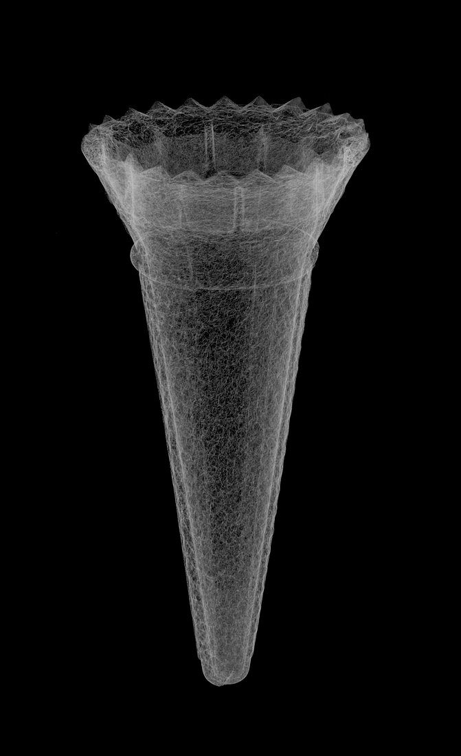 Ice cream cone, X-ray