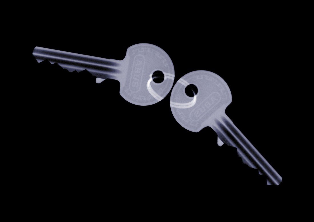 Pair of keys, X-ray
