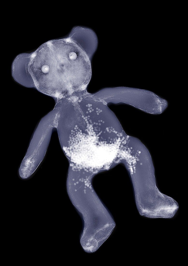 Teddy bear, X-ray