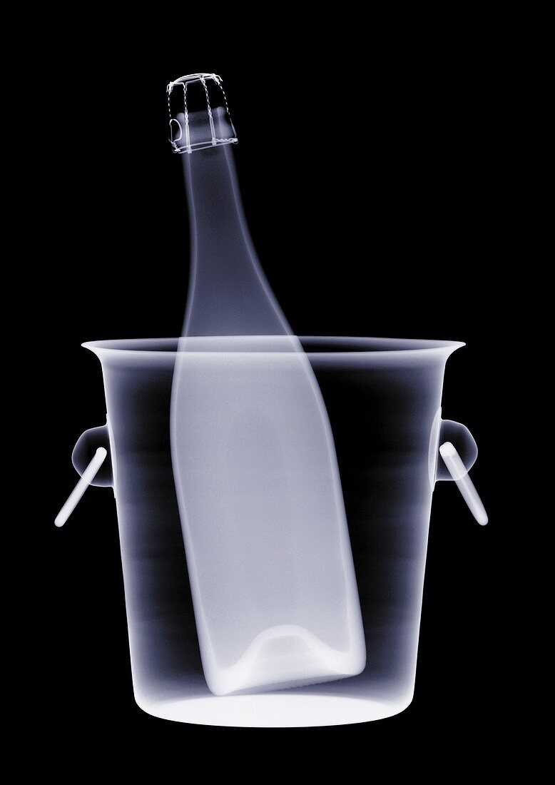 Bottle of champagne and ice bucket, X-ray