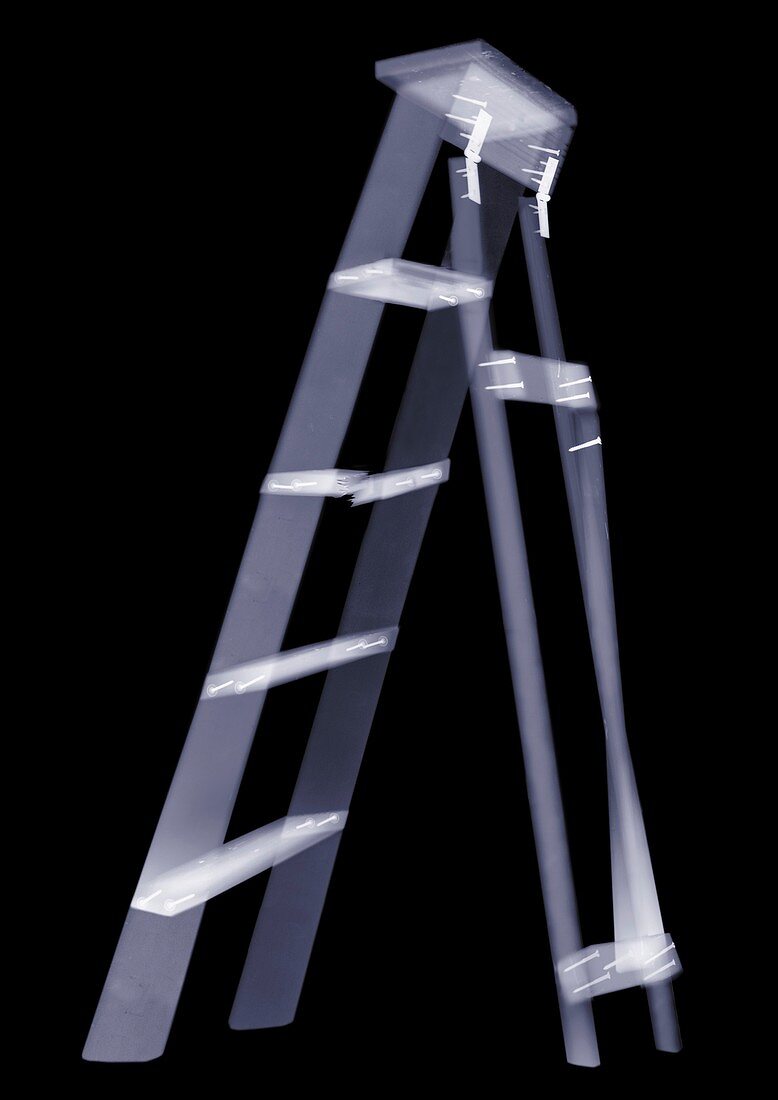 Ladder, X-ray