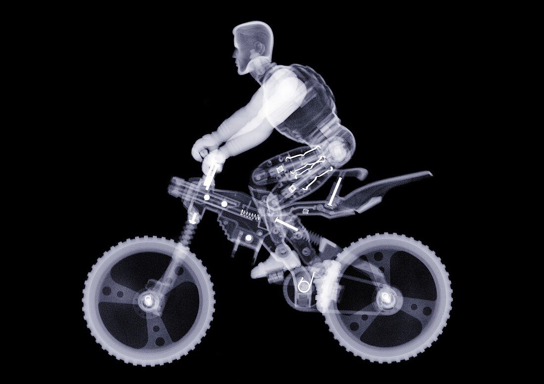 Toy model riding a mountain bike, X-ray