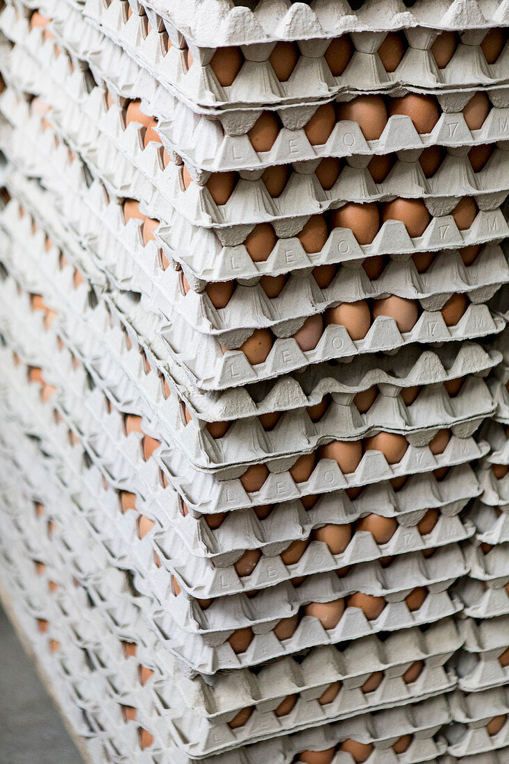 Pallets of egg boxes with brown eggs