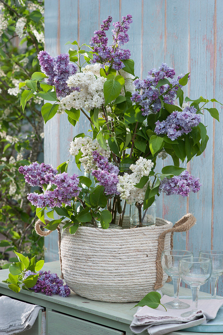 Modern arrangement with lilac