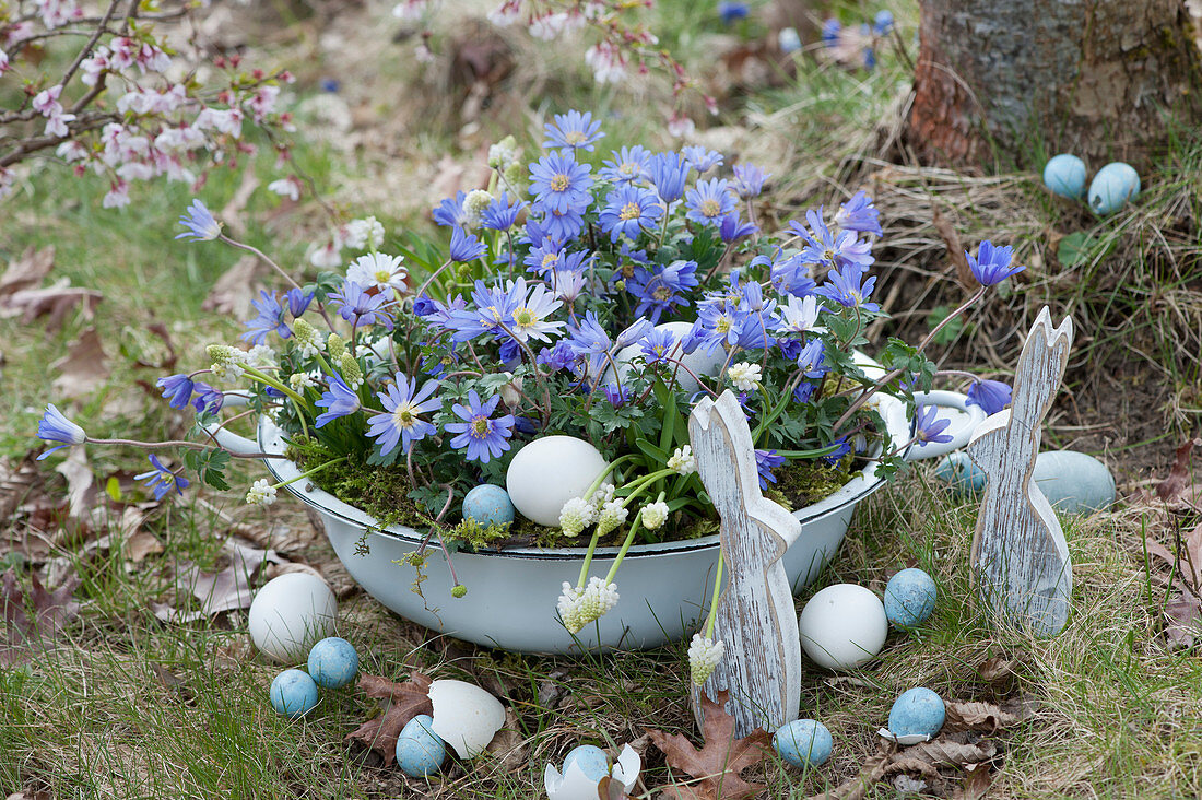 Bowl with ray anemones and white grape hyacinths, Easter bunnies and Easter eggs as decoration