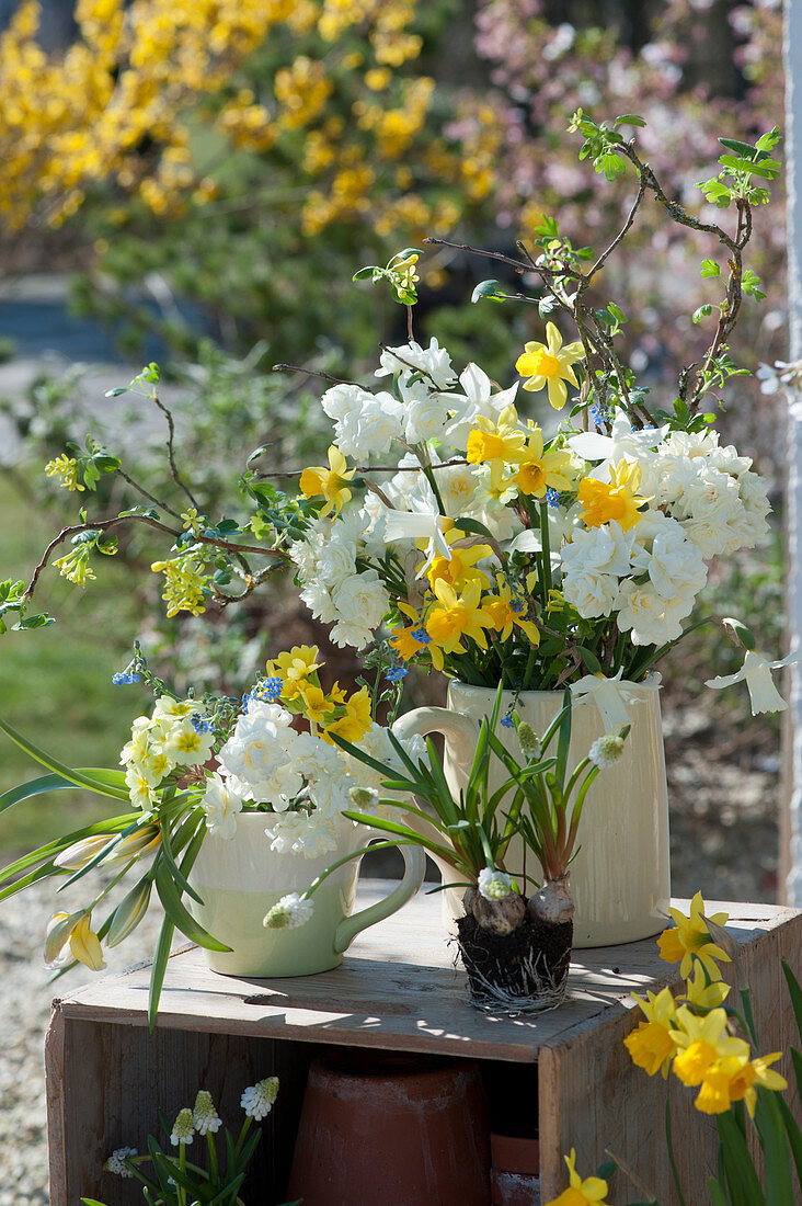 Bouquets of daffodils, primroses, wild tulips and currant twigs