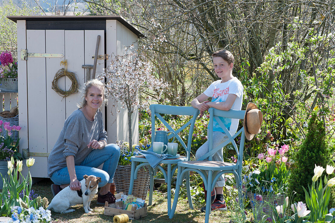 Woman with son at the tool shed in the garden, ornamental cherry 'Kojou no mai', tulips in baskets, fruit steps with seed bags, dog Zula