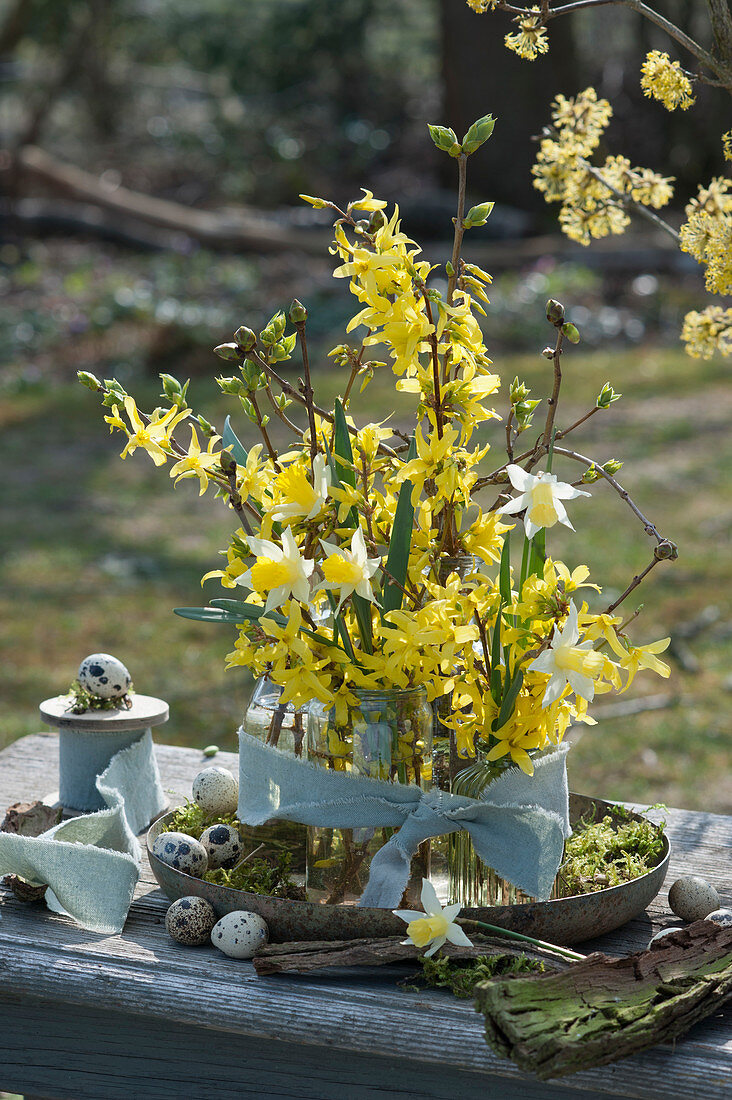 Easter decoration with gold bells and daffodils bouquets in bottles, tied with ribbon on a bowl with moss, quail eggs as decoration