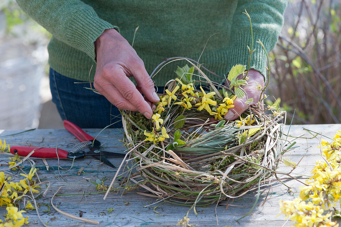 Frau windet Kranz als Osternest aus Zweigen von Goldglöckchen, Hainbuche, Kornelkirsche und Gräsern