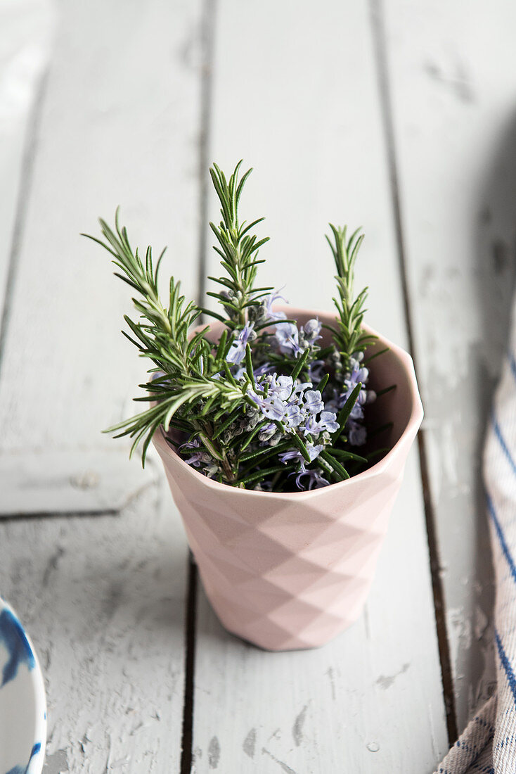 Blooming sprig of rosemary in the pot