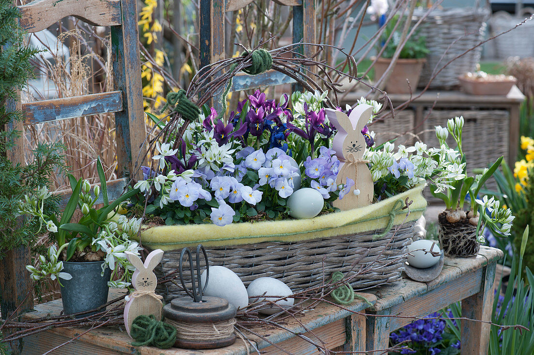 Easter basket with horn violets, milk star and net iris, decorated with birch twigs, wooden Easter bunnies and Easter eggs