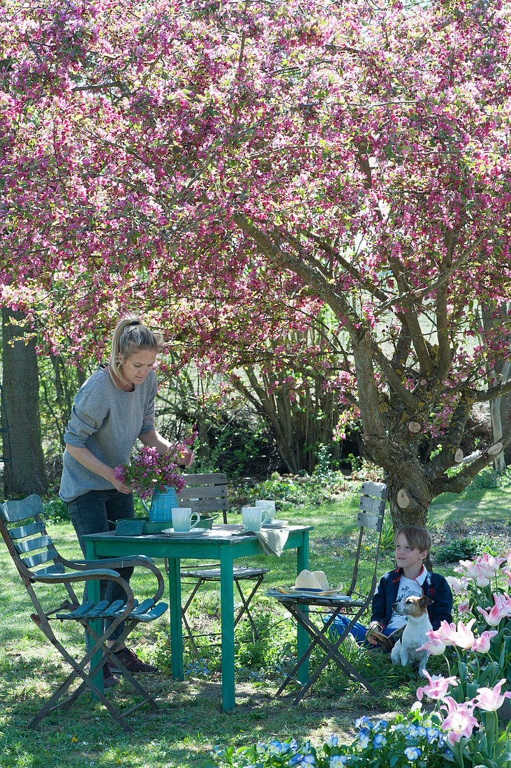 Seating group under the crab apple tree 'Paul Hauber', woman covers the table, boy sits and reads, dog Zula