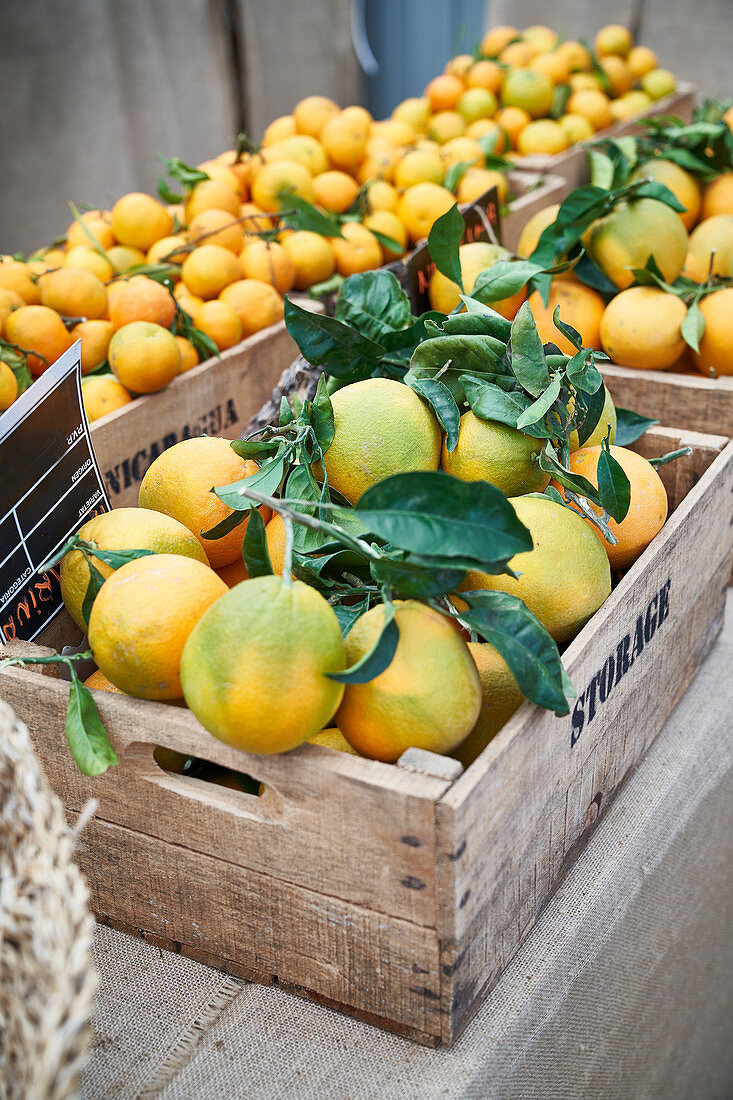 Bio-Orangen auf dem Bauernmarkt