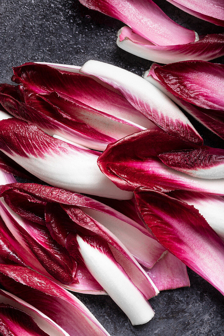 Red chicory