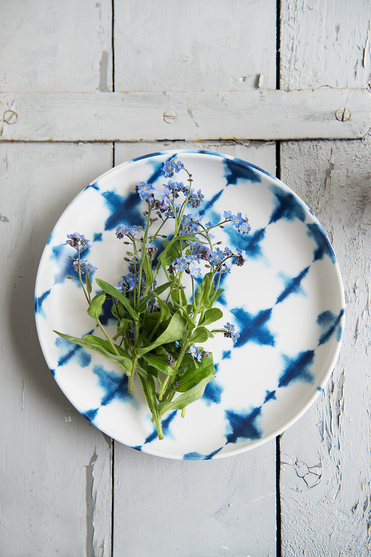 Forget-me-not lying on a plate