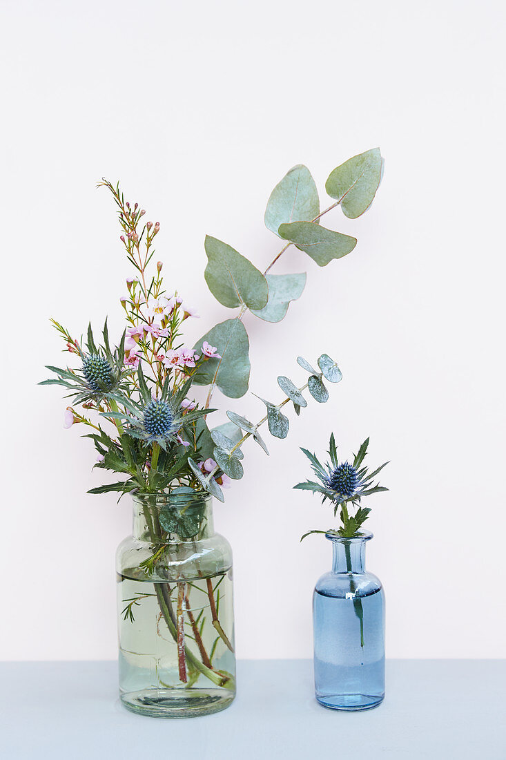 Eukalyptus, Mannstreu und Waxflower in Glasflaschen