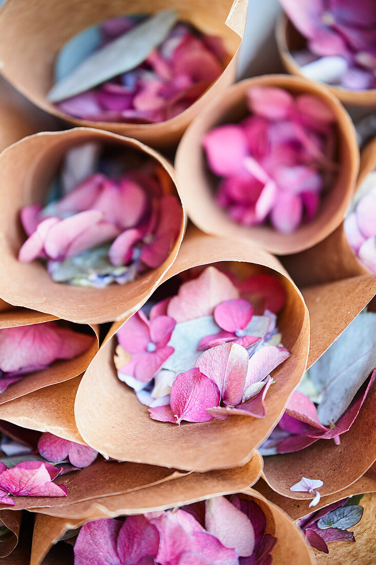 Hydrangea-petal confetti in paper cones