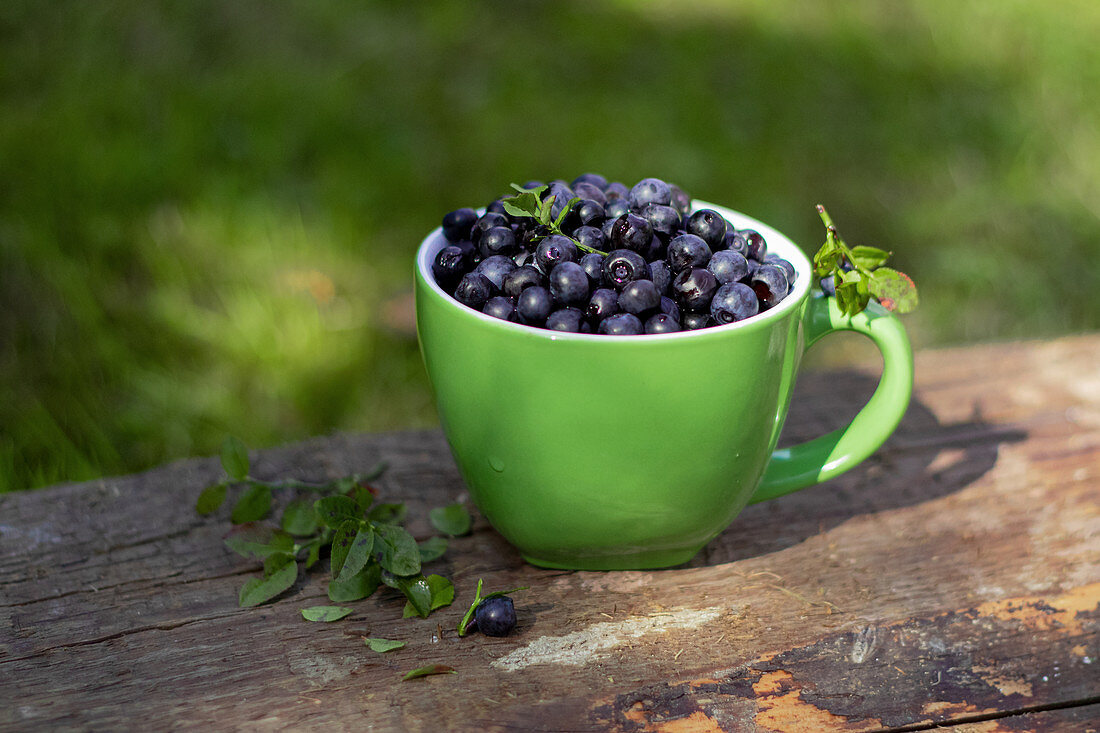 Bilberry in green cup on the wood