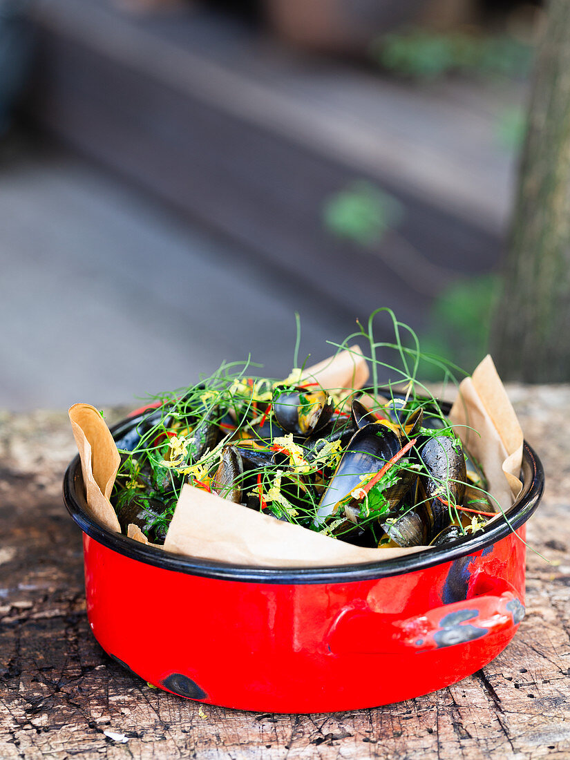 Black mussel with fennel, lemon and red chilli