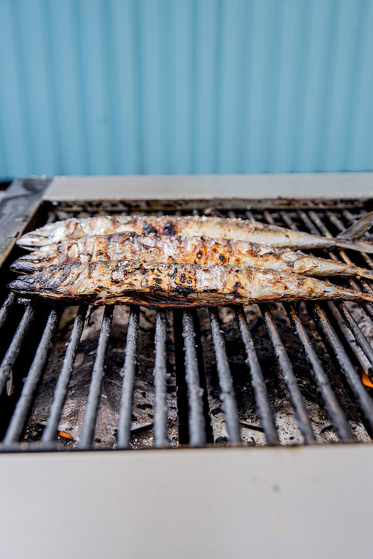 Mackerel on a grill rack