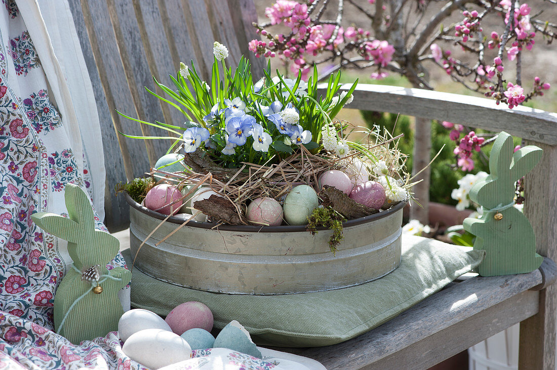 Sheet metal bowl as Easter basket with horned violets and grape hyacinths on bench, wooden Easter bunnies