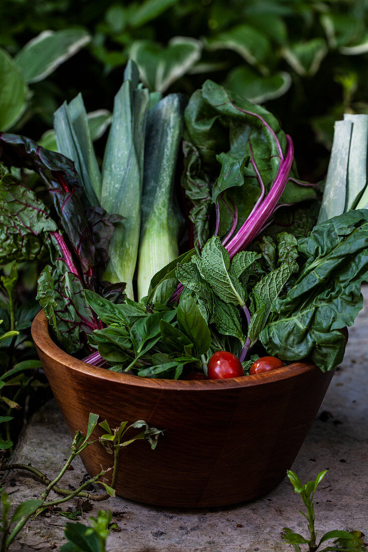 A wooden bowl filled with vegetables and herbs in the garden - rainbow swiss chard, leeks, tomatoes, mint and basil
