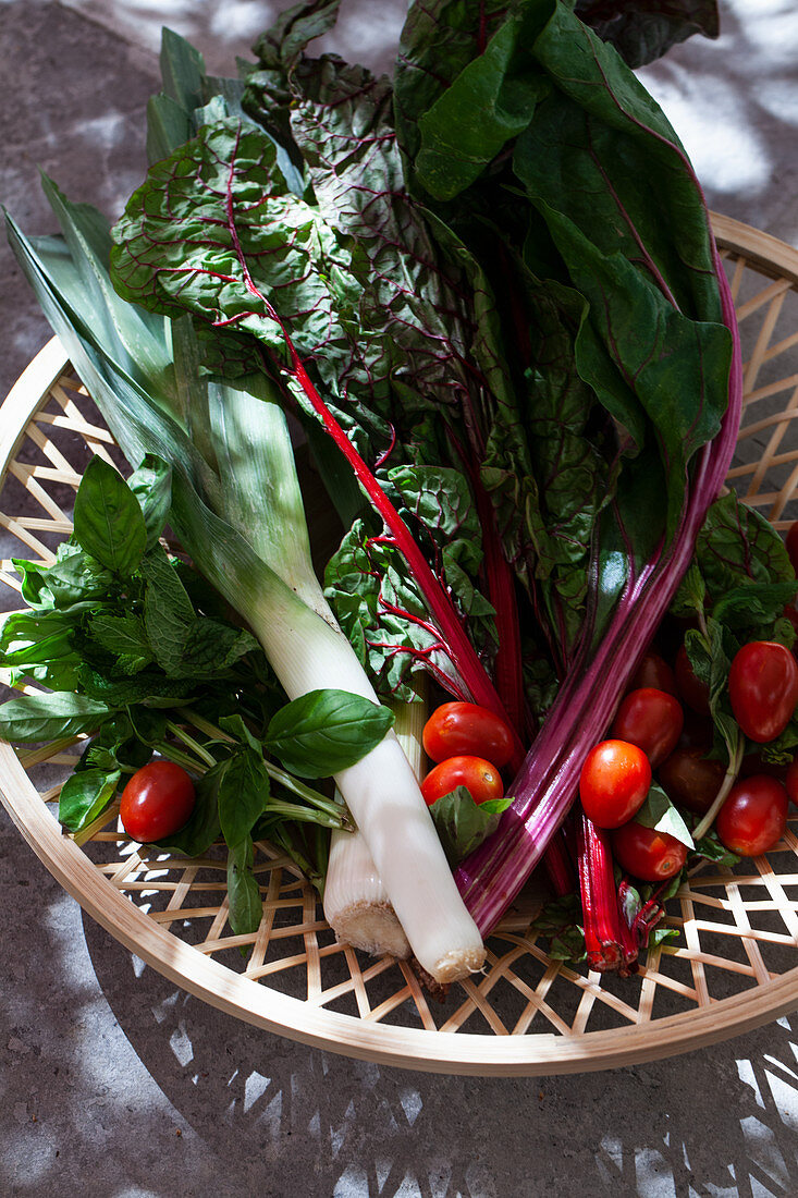A wooden basket on an outdoor stone surface, filled with rainbow swiss chard, tomatoes, leeks, mint and basil