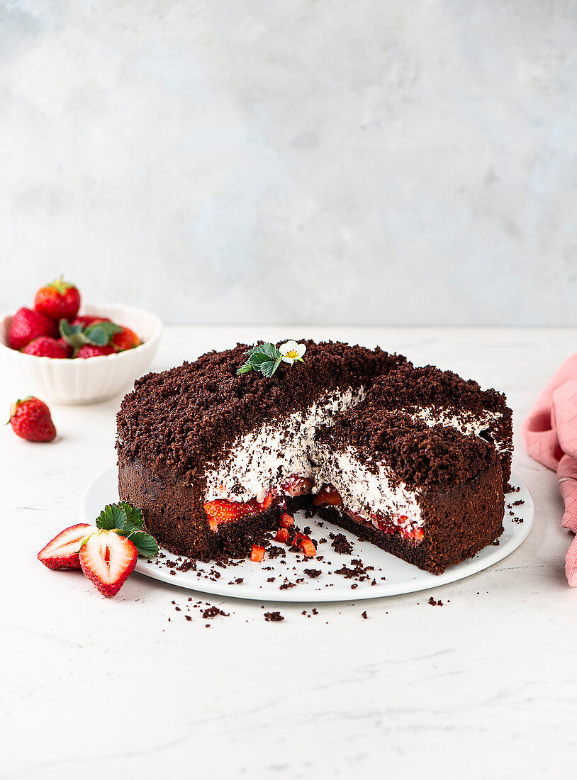 Maulwurfkuchen mit Erdbeeren