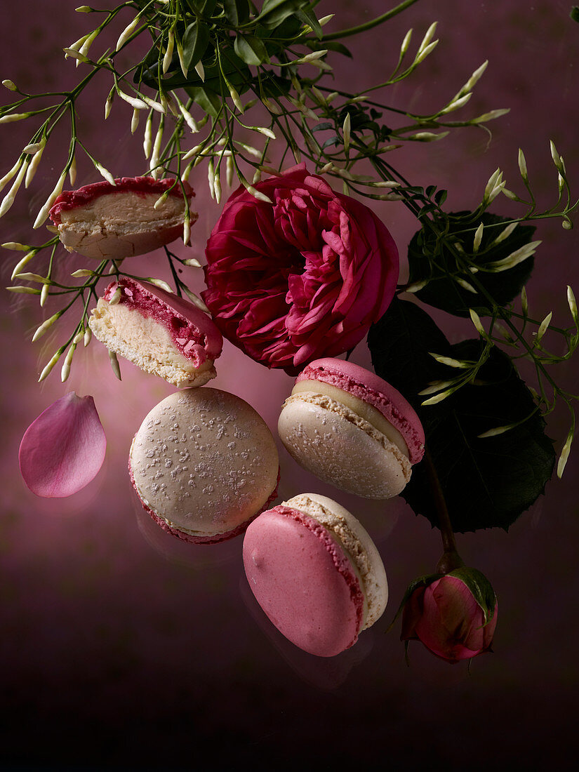 Macarons with roses and jasmine