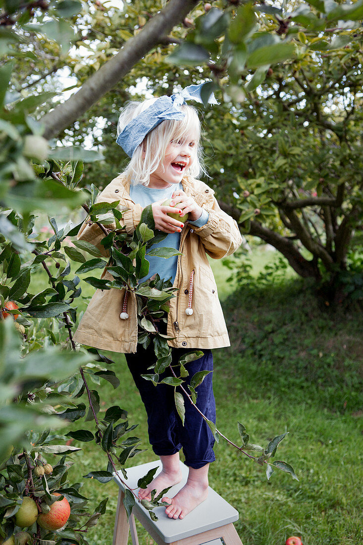 Mädchen steht barfuß auf einer Leiter am Apfelbaum im Garten