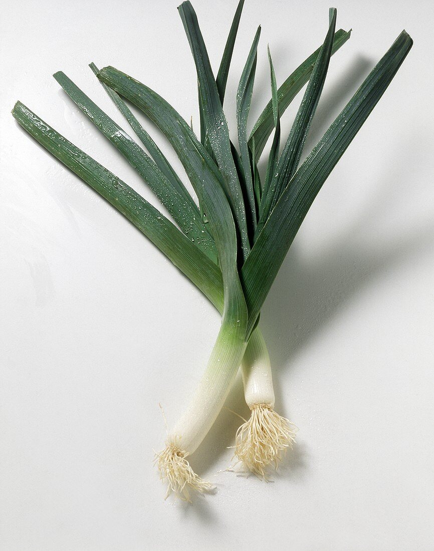 Two Spring Onions