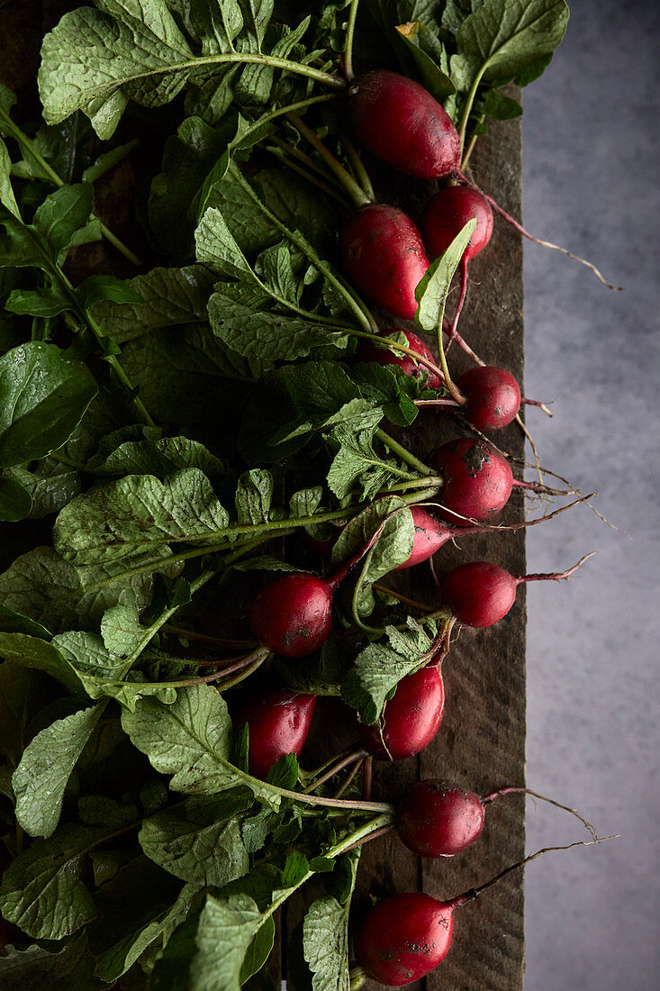 Fresh radishes