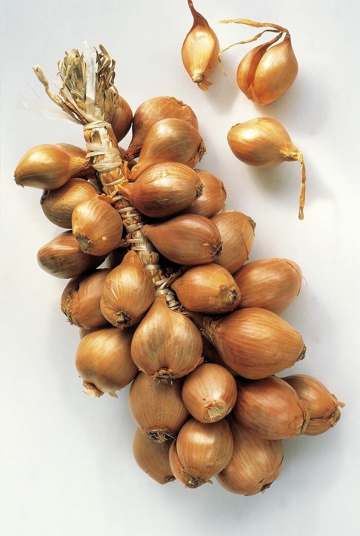 Braid of Yellow Onions from Overhead