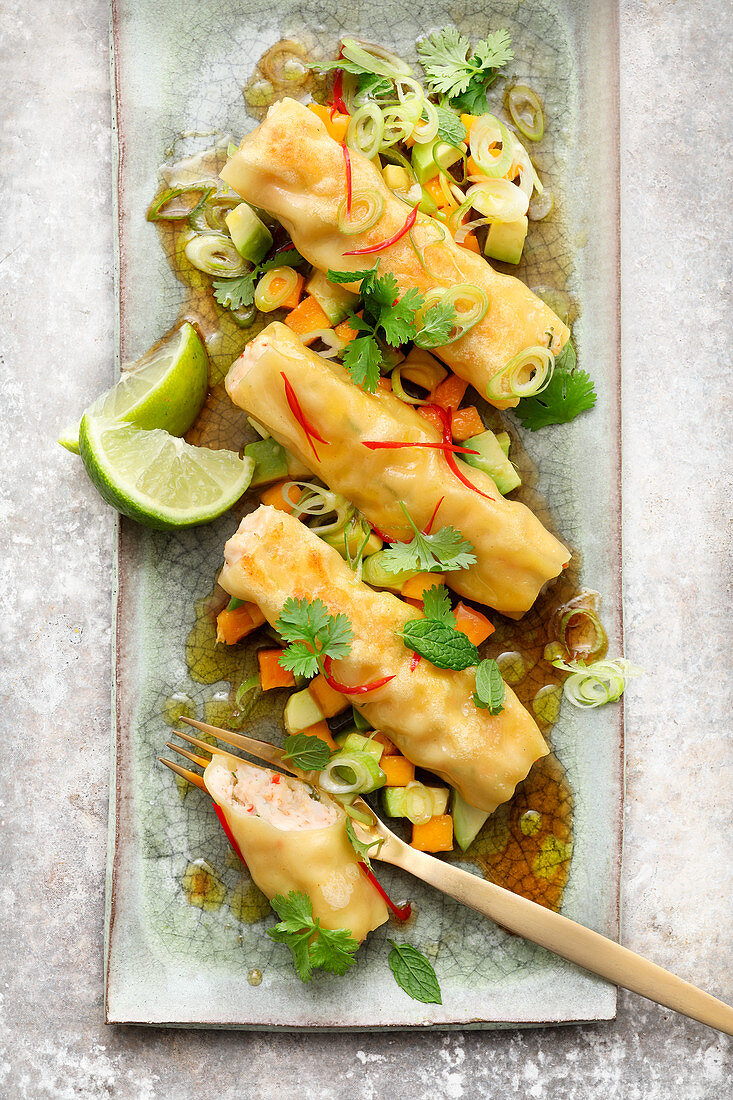 Cannelloni with chicken and prawns on a mango and avocado relish