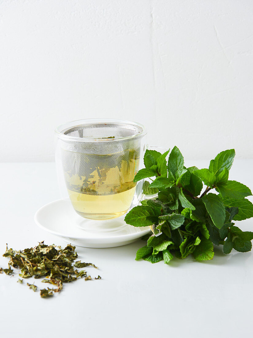 Mint tea, fresh mint and dried tea leaves