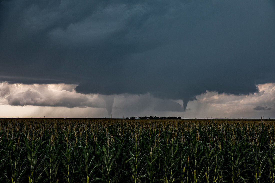 Twin tornadoes, Colorado, USA