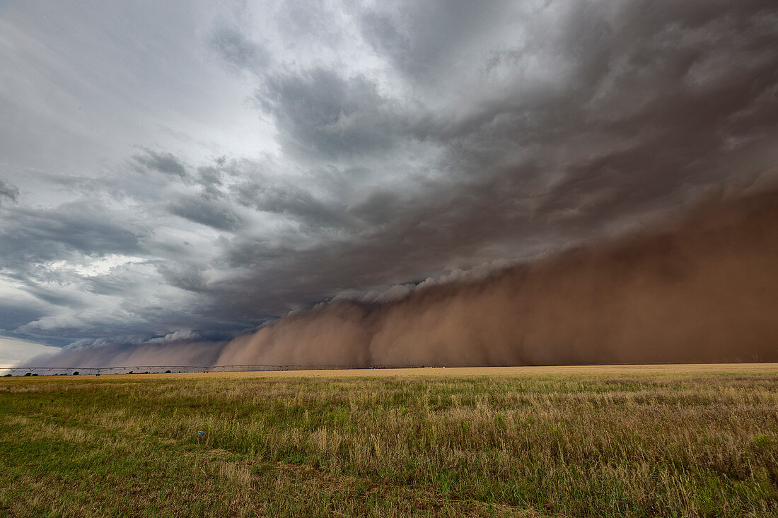 Haboob dust storm, Texas, USA