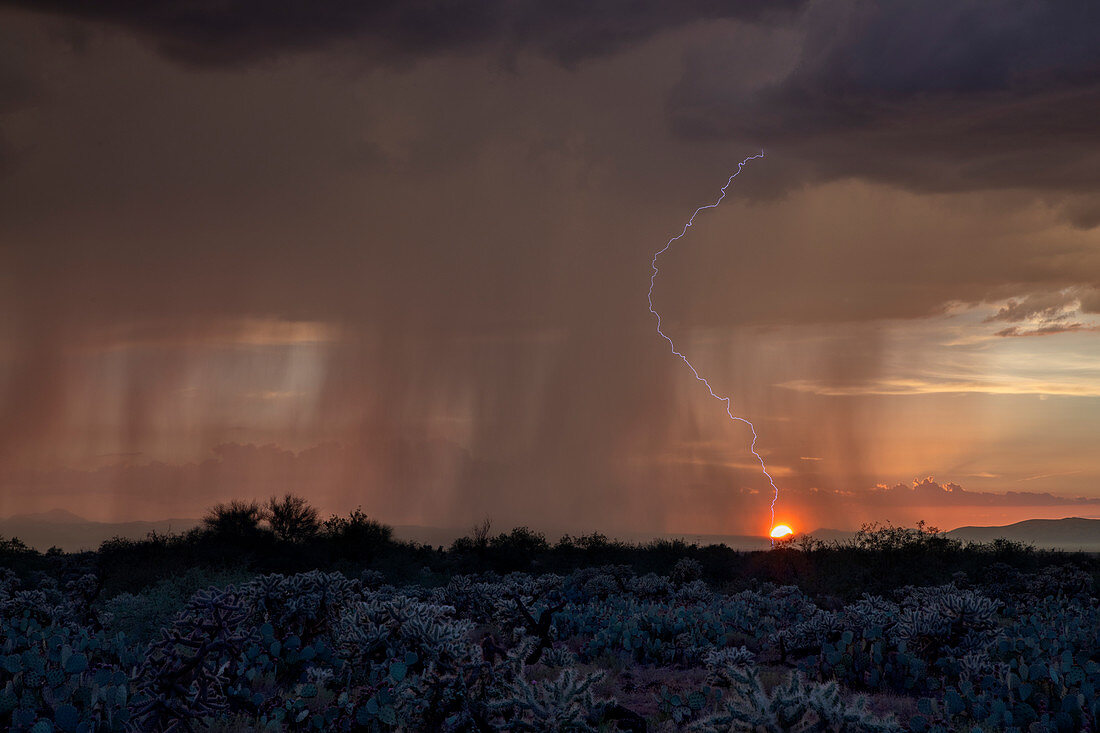Thunderstorm and lightning, Arizona, USA