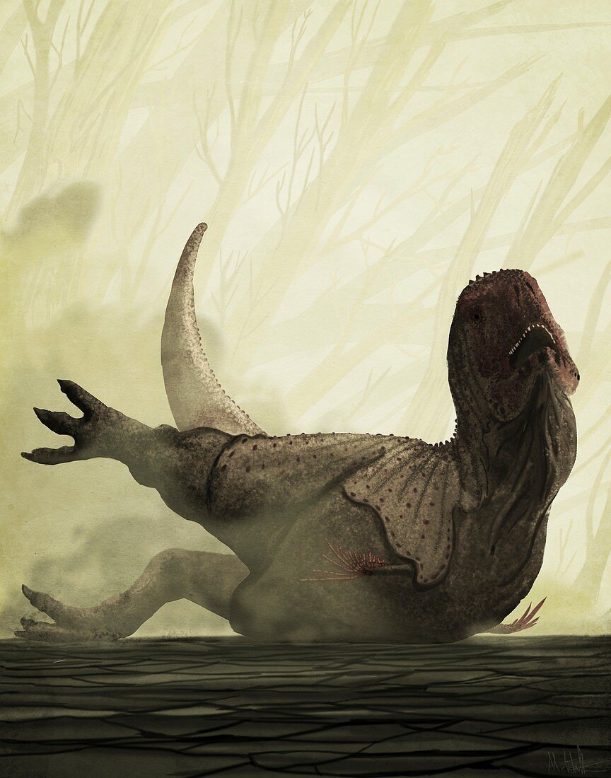 Aucasaurus dinosuar, illustration