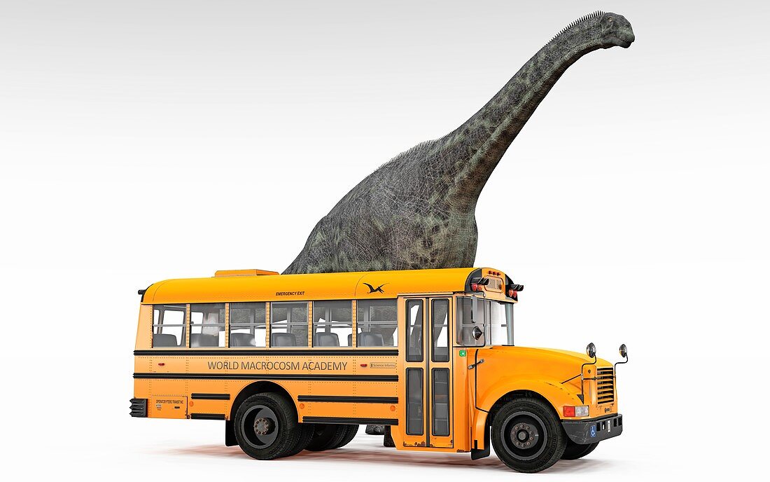 Cetiosaurus and school bus, illustration