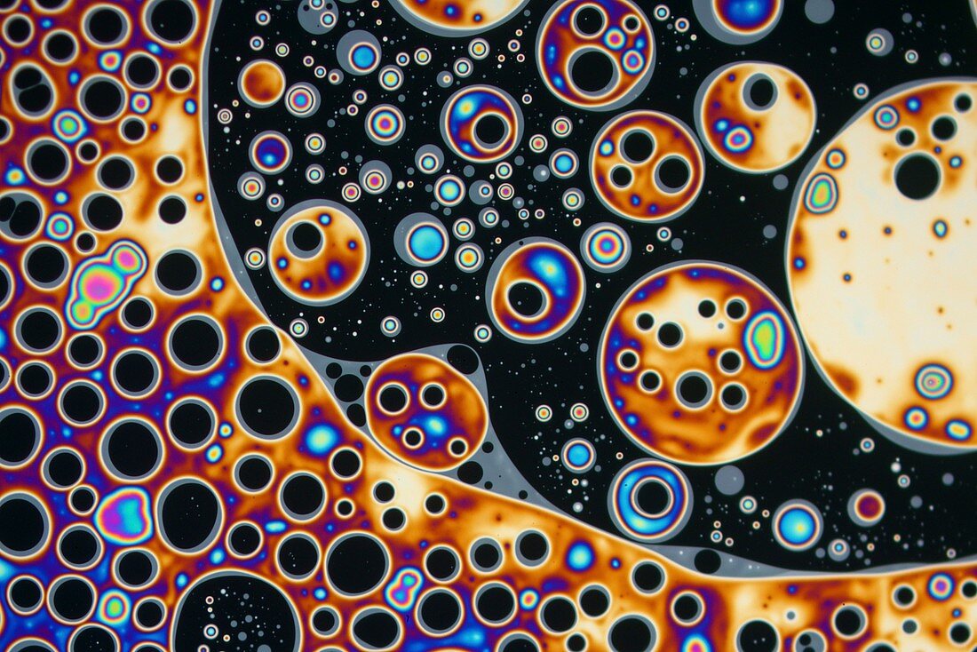 Soap film, reflected light micrograph