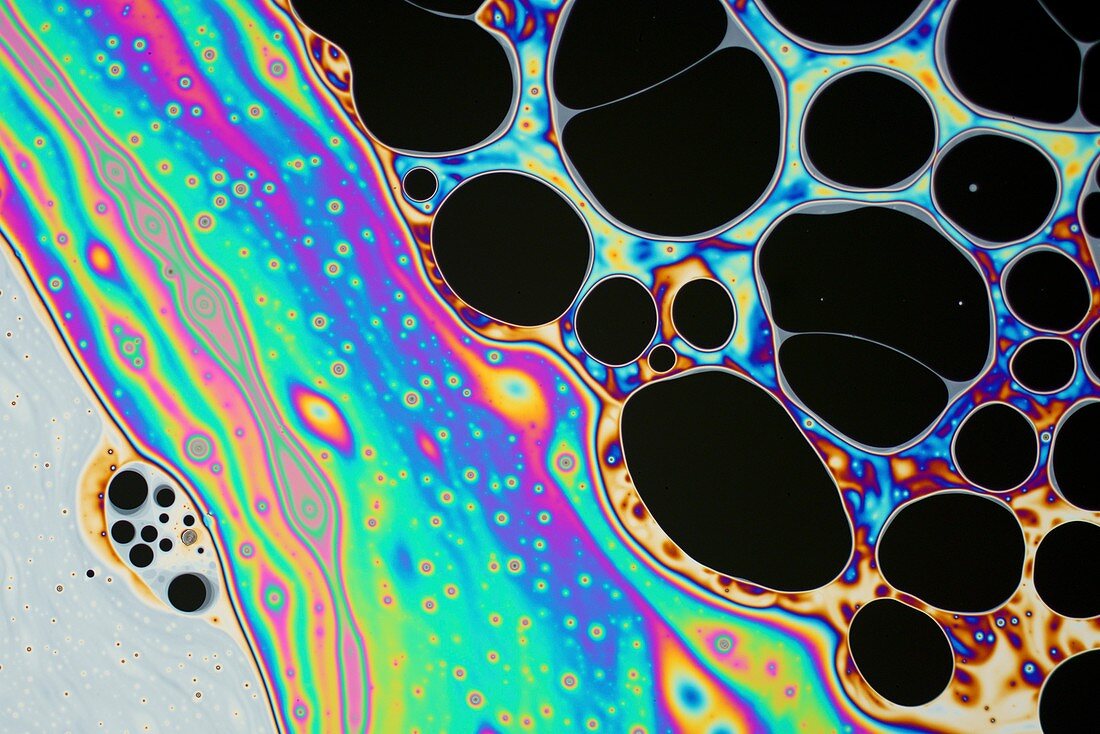 Soap film, reflected light micrograph